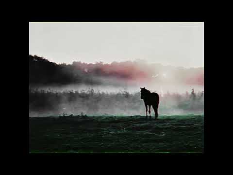 Video thumbnail for Tulpa