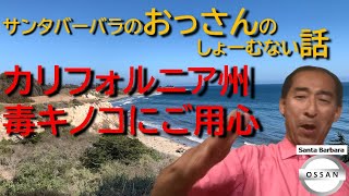 Download lagu California: Beware of Poisonous Mushrooms mp3 Download lagu California: Beware of Poisonous Mushrooms mp3