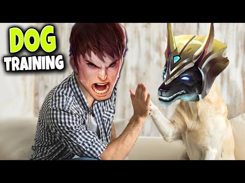 I am training my DOG how to be a true Top Laner 🐶