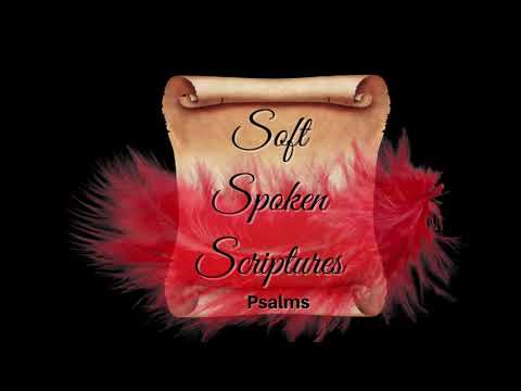 Psalm 49-54 | Soft Spoken Scriptures