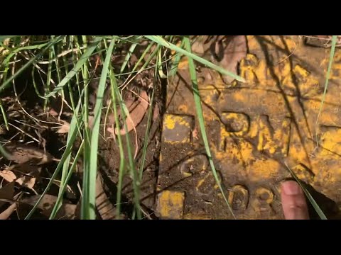 Australian Survey Marks - Watch out for Spiders!