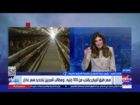 غرفة الدواجن: لا بد من استحداث بورصة للدواجن لضبط السوق وحماية المنتج 