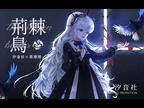 【国人原创】荆棘鸟【茶理理x汐音社】