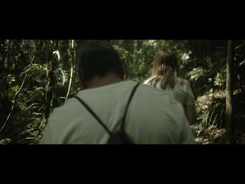 AUSTRALIAN RAINFOREST | Travel