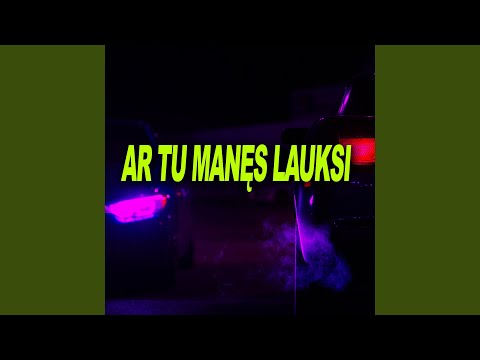 AR TU MANĘS LAUKSI (feat. Naujos Pupytės) (Remix)