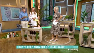 How To Keep Ants Out Of Your House - 01/05/2024