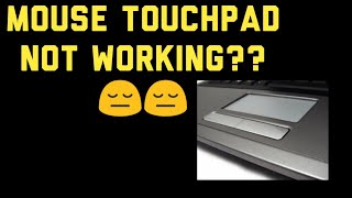 How to unlock Laptop mouse touchpad