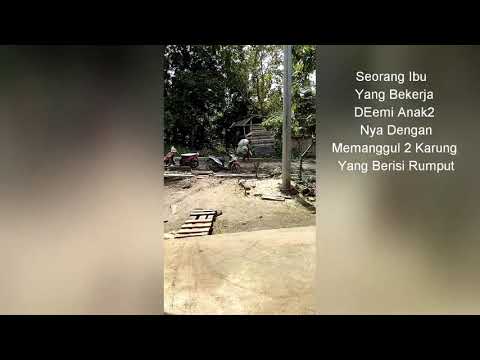 Viral Seorang Ibu Memanggul Dua Karung Rumput