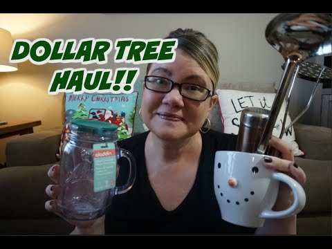 DOLLAR TREE HAUL 11/22/17 | NEW FINDS! Video