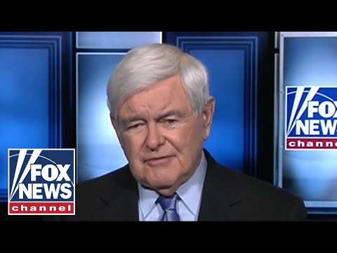 ジングリッチ氏、サンダースがジョー・バイデンと戦える唯一の方法を明かす (Gingrich reveals the one way Bernie Sanders can fight Joe Biden)