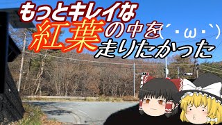 【ゆっくりドライブ】秋だし天気もいいから、紅葉と富士山を見に行こう！