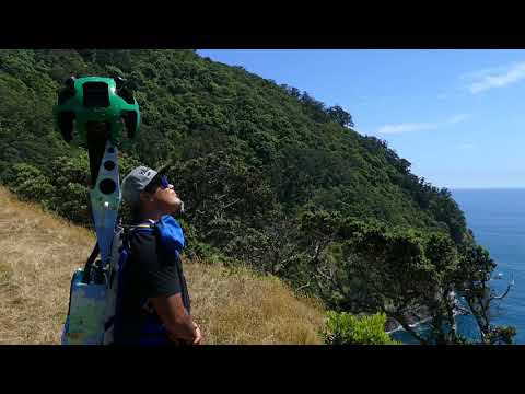 Explore Moutohorā (Ilha das Baleias) com o Google Street View