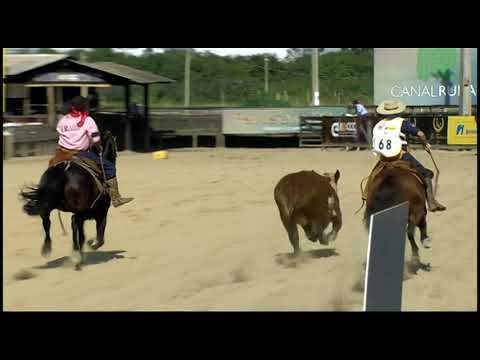 Classificatória Gaúcha - 6º e 7º lugares machos (Campo II)
