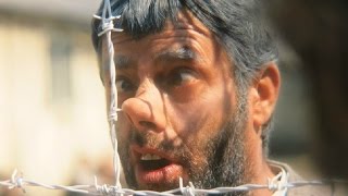 The Story Of The Day The Clown Cried