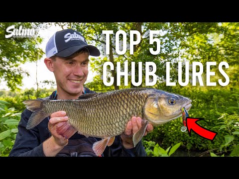 Top 5 Salmo lures that get smashed by chub