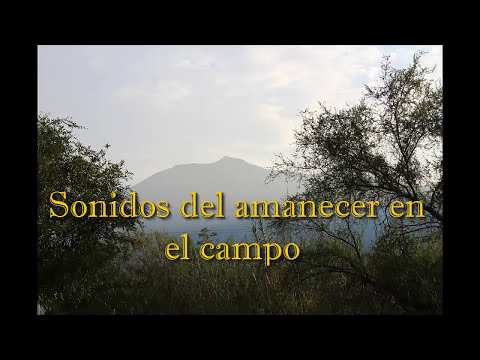 😪Sonidos del amanecer🍃en el CAMPO (2 horas) RELAJATE!!!
