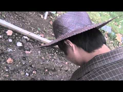 The Constant Gardener Official Trailer