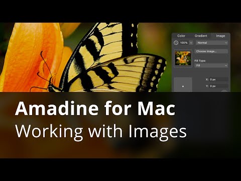 Working With Images—Part 1—Amadine for Mac Tutorials