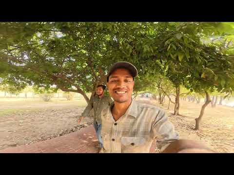 Exploring Jatiyo Smriti Shoudho on Foot | Savar Travel Vlog