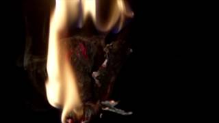 Dead Cat in a Bag - Silence Is Not Pure