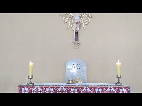 Missa Da Graça Com Benção Do Santíssimo - ( 21/06/2020 )