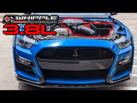 2020 GT500 WHIPPLE 3.8L FIRST LOOK | INSTALL, DYNO, & TRACK RESULTS