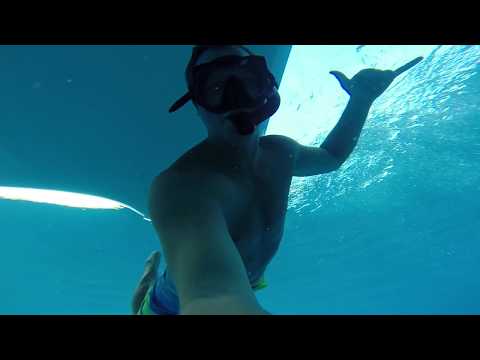 Swimming with Bull Sharks off the Florida coast