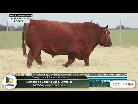 08-10-26 - Remate de Cabaña Los Murmullos - Consignataria Alfredo S.  Mondino - Nueva Galia