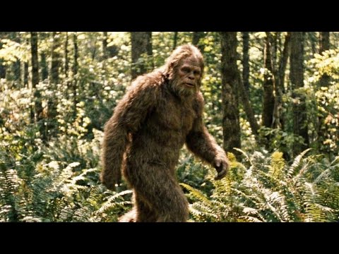 The New CLEAREST Bigfoot Footage is Here! (2026)