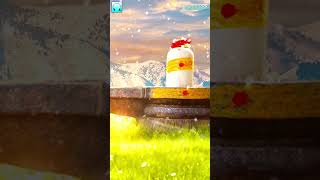 Download lagu Kayilai Malai | Srihari | கயிலை மலை #tamildevotional #sivansongs mp3 Download lagu Kayilai Malai | Srihari | கயிலை மலை #tamildevotional #sivansongs mp3