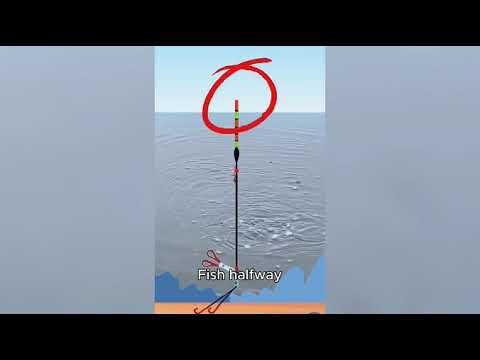 No Bites When Fishing on the Bottom? Switch to Mid-Water! 4 Situations for Crazy Bites!