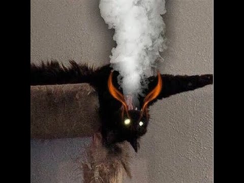 no stylist crimewave (sc@ OJC-O.J.C)