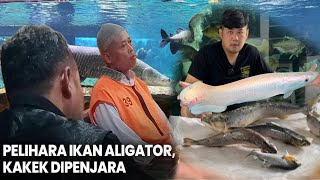 PELIHARA IKAN PREDATORNYA SERIUS !!! ATURANNYA MALAH BERCANDA SAMPE DI PENJARA !!! MENYERAMKAN