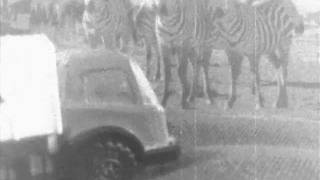 credits will roll by Jason Lytle ft. PowderedCows