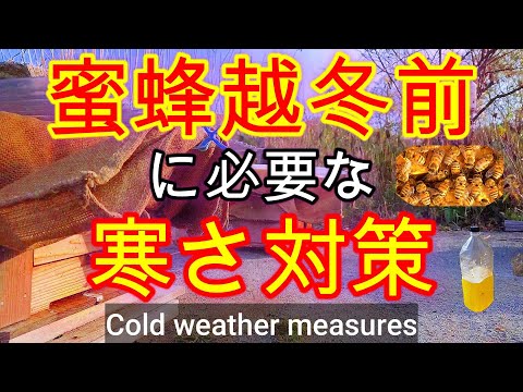 経済学科 晴蜂雨読 No. 70／ミツバチの2段階越冬について／本格的な越冬を始める前に行う防寒対策とは？／2025年10月、その4／山崎亮一／日英字幕付／ Cold weather measures