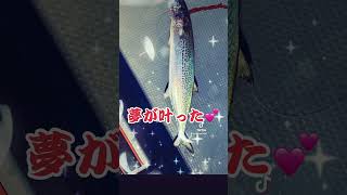 #今年の思い出#伊勢湾奥サワラキャスティング#大佐丸