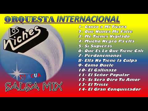 Los Niches | Orquesta Internacional | Salsa Mix | Salsa Dura | Colombia | Exitos | DJACUA