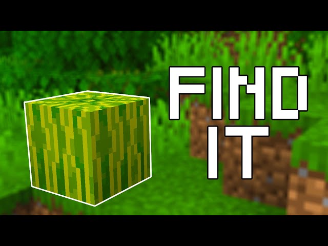 Where To Find Melons In Minecraft