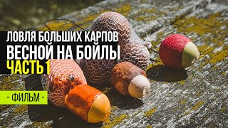 Ссылка