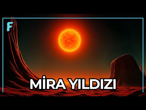 Evrende Karşılaştığımız Akıl Almaz Bölgeler - 2.Bölüm | Belgesel