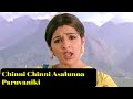 Chinni Chinni Ashalunna Paruvaniki Lyrics Song Andala Ramudu Sunil Arathi Agarwal Rajkumar