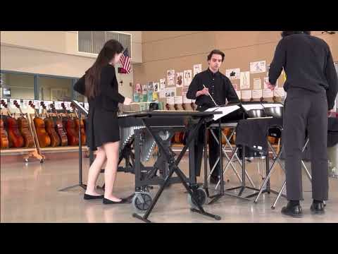 Van Gogh From Space - Steven Snowden