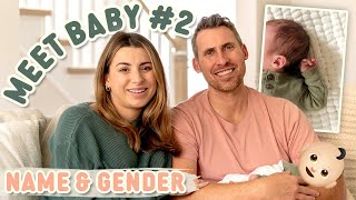 Meet our new baby (name and gender reveal)