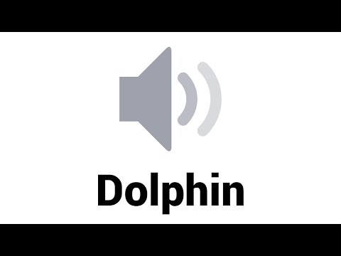 download lagu mp3 mp4 Dolphin Sounds Ringtones, download lagu Dolphin Sounds Ringtones gratis, unduh video klip Dolphin Sounds Ringtones