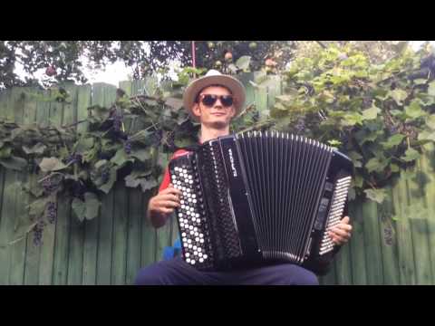 50 cent P.I.M.P. (Folk cover on the accordion)))