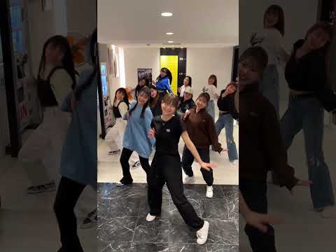 「レッツダンス」候補大チェック