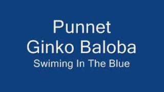 Punnet-Ginko Baloba