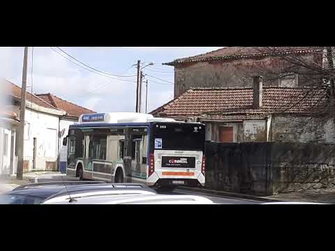 STCP No Linha 805 Veículo 3353,  10/02/2021