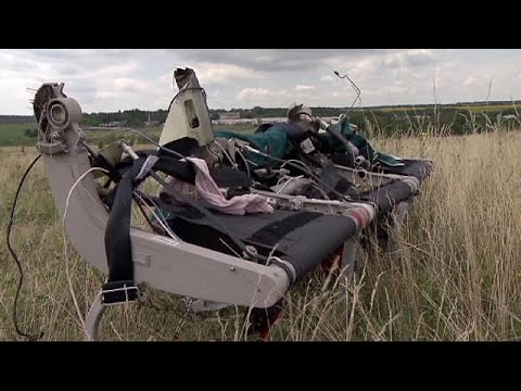 Todesflug MH17: Außenminister entschuldigt sich