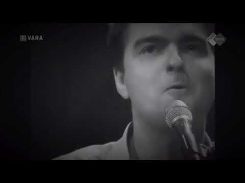 De poema's - Ik mis niets